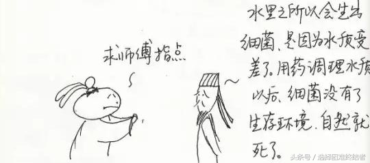 中医和西医哪个是治标不治本,中医和西医哪个对身体好