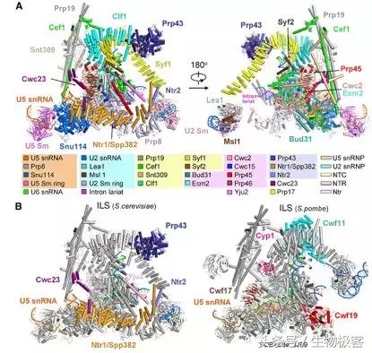 施一公回中国完整视频,施一公回放