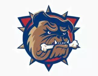 英国斗牛犬有多厉害,英国斗牛犬为什么凶猛