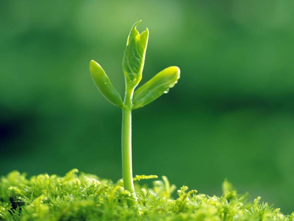 被人欺负该如何正确应对,对付被人欺负最好的方法