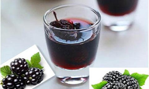 名老中医桑葚酒的功效与作用,桑葚鲜果酒的功效