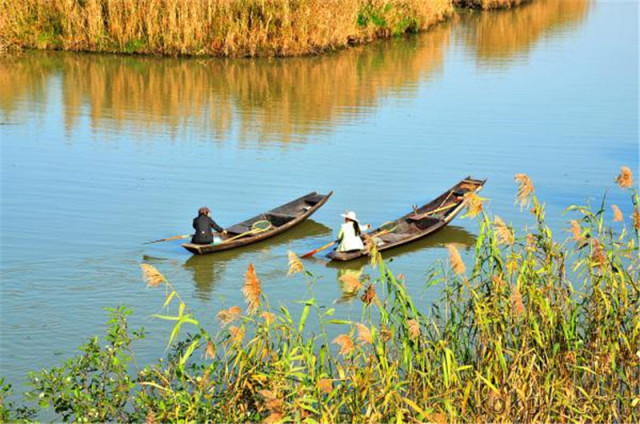 用12星座对应12生肖,12星座最像哪一座城市