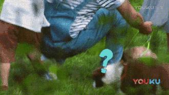 罗志祥小手牵小狗,小手牵小狗2018罗志祥