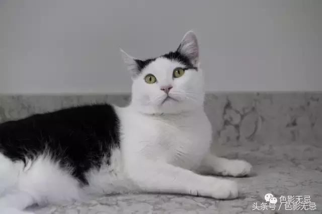 关于尼康d850的一些问答,尼康d850买回来怎么打开