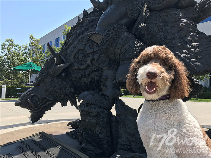 暴雪员工的宠物也太幸福了，还有专属部落or联盟工牌