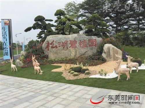 东莞热卖盘,推盘在即