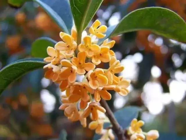 镇江有轨电车,镇江有名的塔叫什么塔