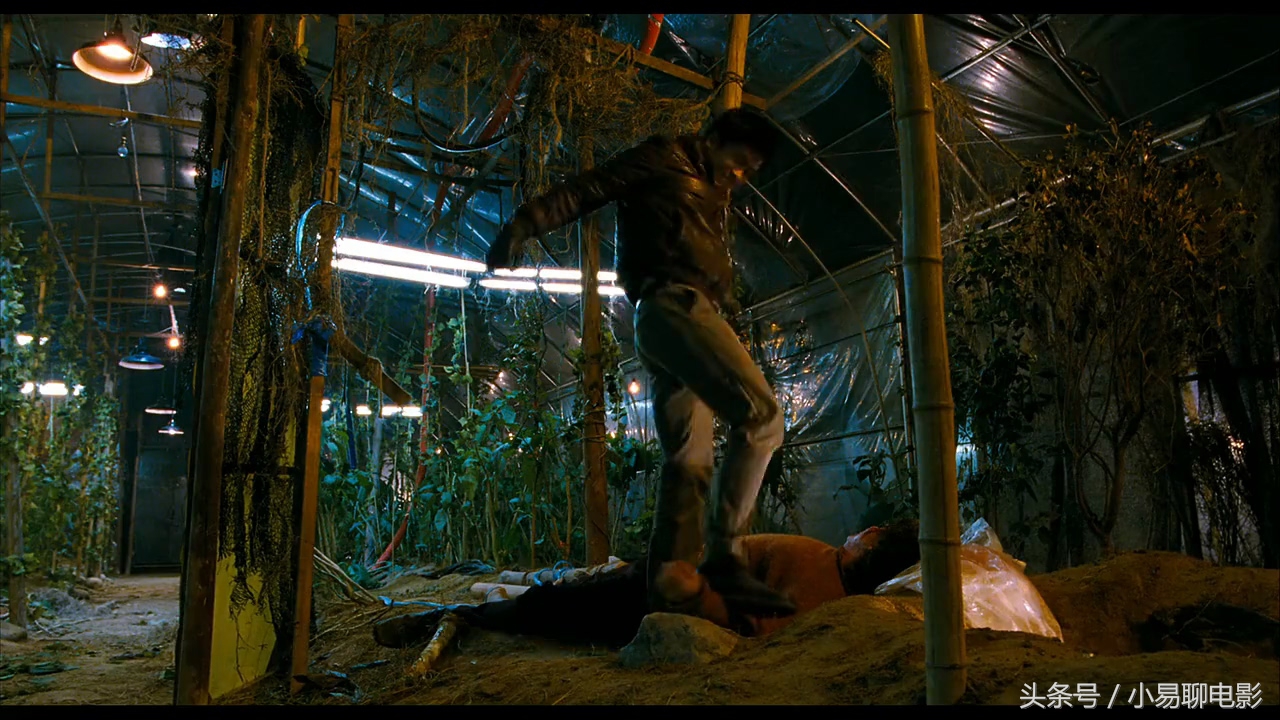 一次失败的复仇行动——电影《看见恶魔》