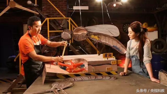 科学防蚊,实测防蚊最有效的方法