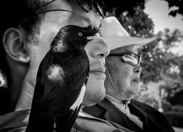 京东摄影金像奖,2021京东摄影金像奖