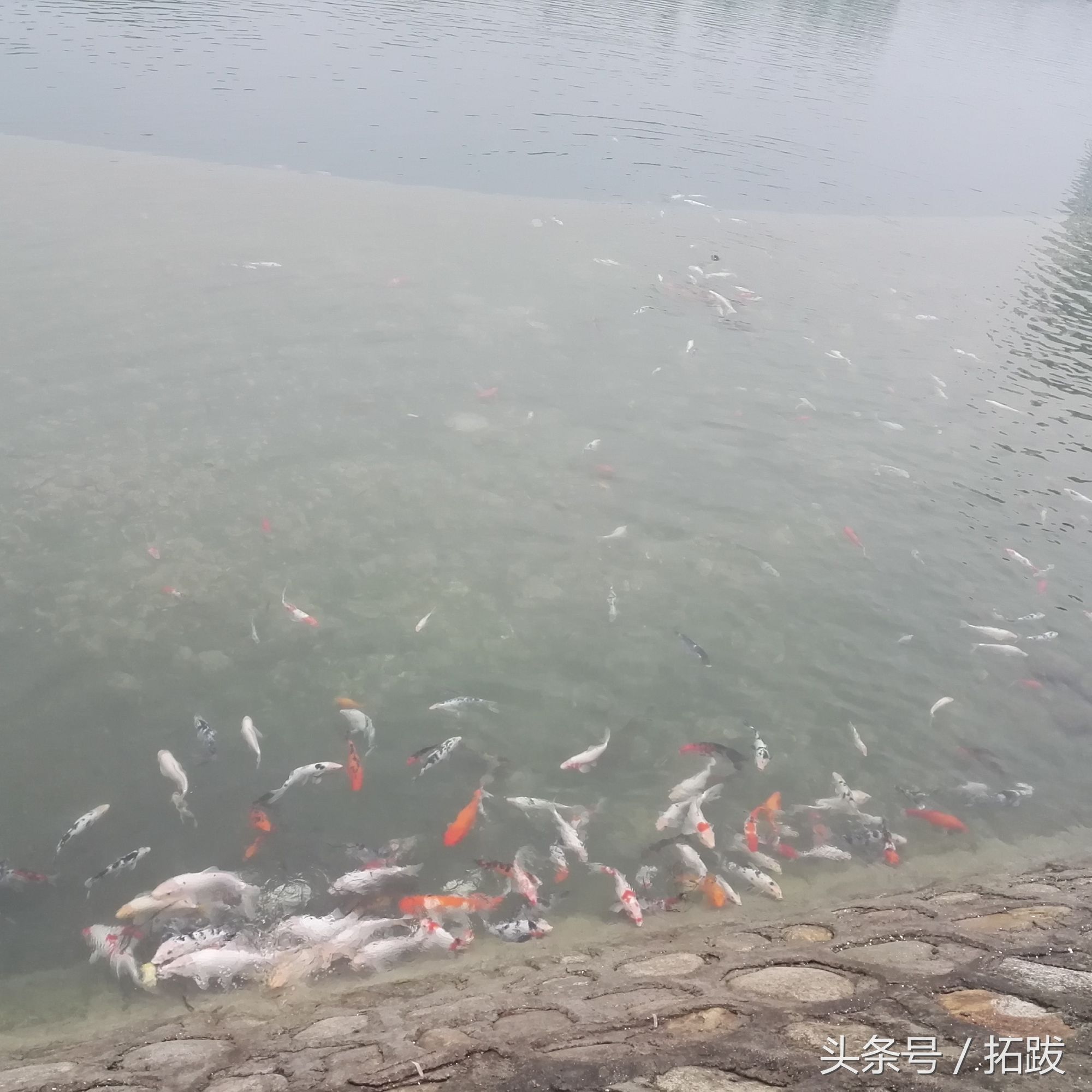 西安周边适合泡私人温泉的地方,西安周边温泉一日游的绝佳去处