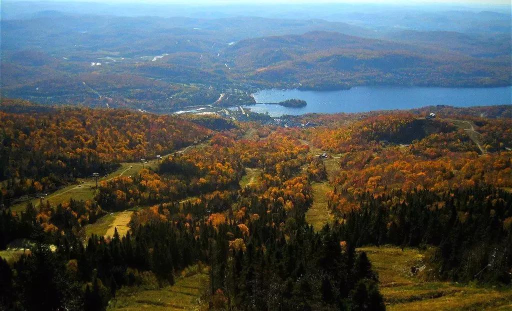 2018加拿大签证新政策是什么样的,2017加拿大签证攻略