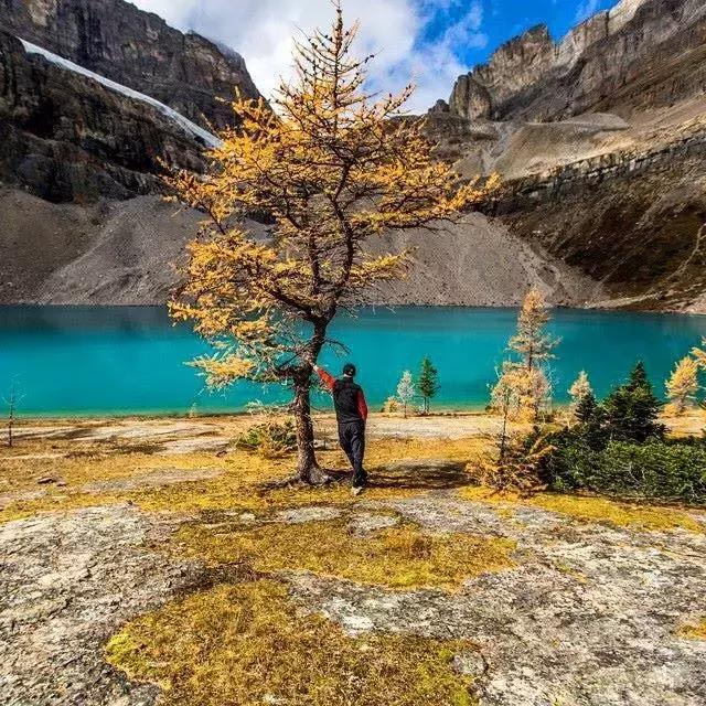 2018加拿大签证新政策是什么样的,2017加拿大签证攻略