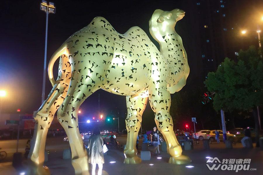 合肥1912金大地街区在哪个区,合肥金大地1912街区怎么样