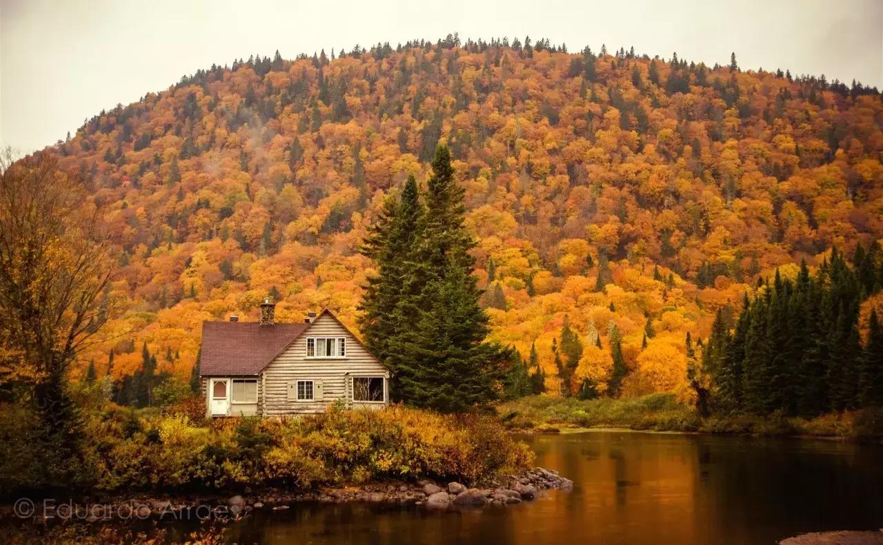 2018加拿大签证新政策是什么样的,2017加拿大签证攻略