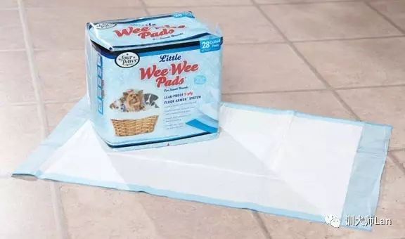 狗狗绝育后脾气暴躁怎么办呀,狗狗做完绝育后攻击行为