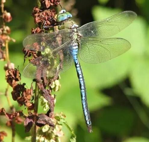 合肥瓜牛公园丛林探险,合肥瓜牛公园到底好不好玩