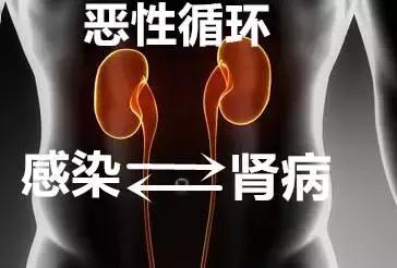 感染导致肾病加重,感染加重的肾病还能恢复吗