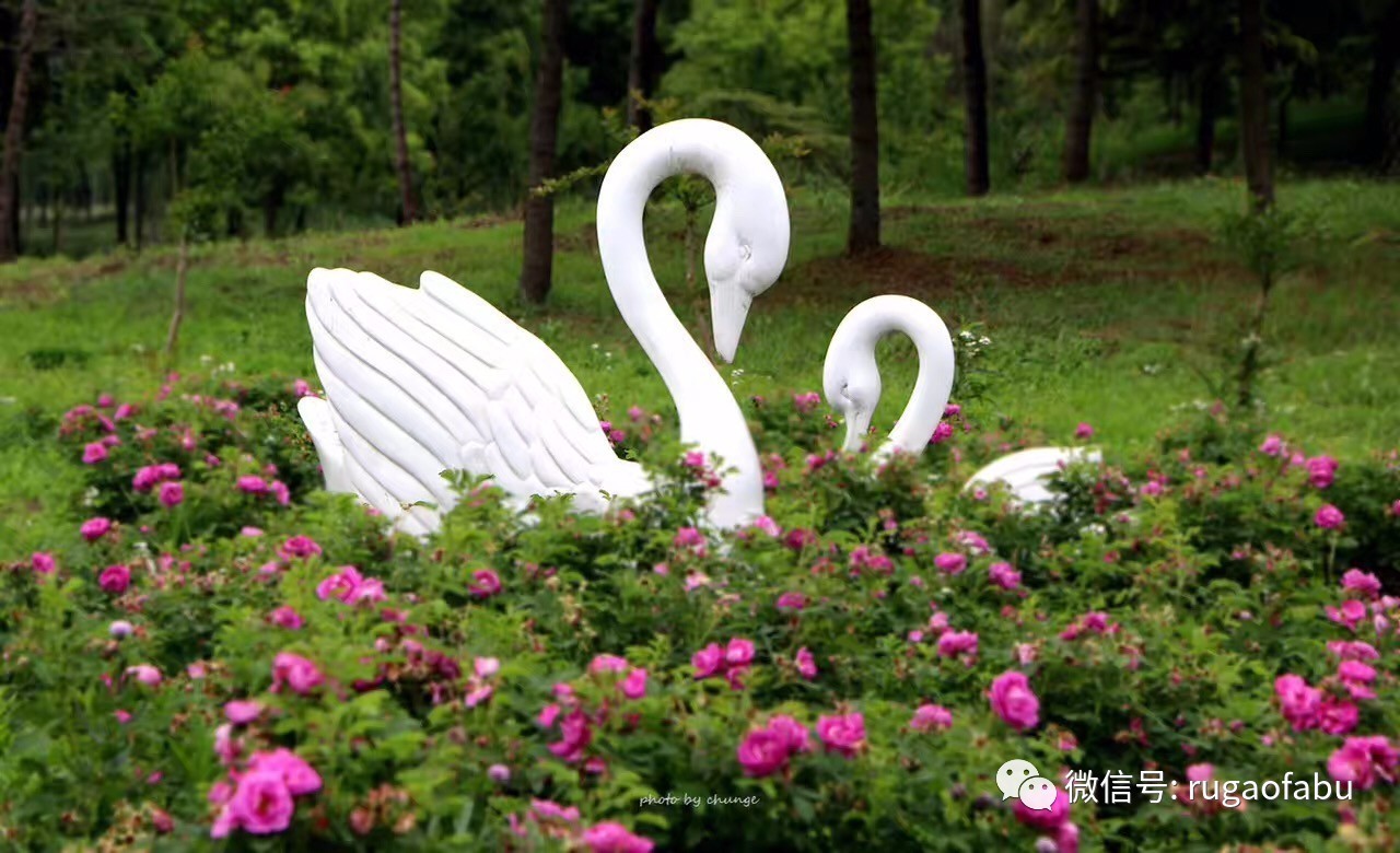 iphonex全新正品,iphonex正式开售时间