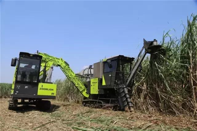 黄金搭档甜蜜相约—中联重科AS60甘蔗机+转运车开启蔗收新模式