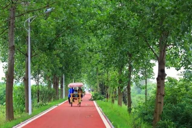 合肥瓜牛公园丛林探险,合肥瓜牛公园到底好不好玩