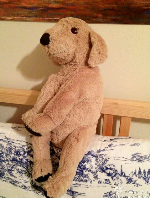 爸爸去哪儿你不知道的事,爸爸去哪儿真心话问答