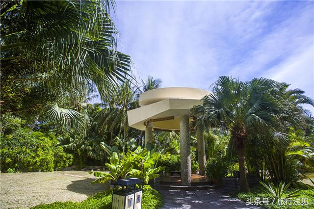 陪伴才是对孩子最好的祝福,陪伴才是给孩子最好的教育