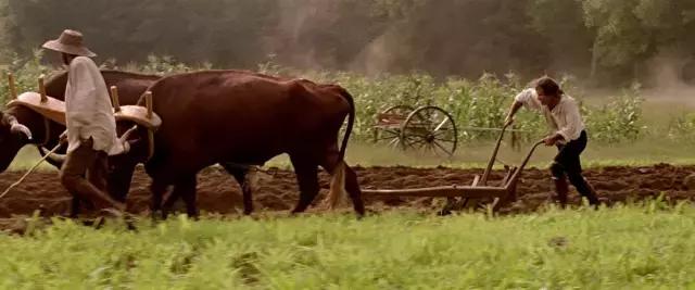 为什么美国好莱坞很少有小鲜肉,好莱坞电影为什么好看