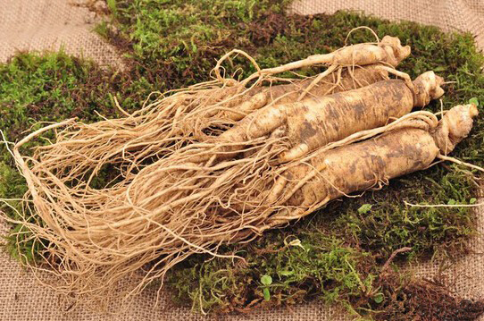 人参礼盒价格一览表,人参价格历年走势图