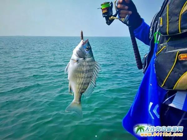 国庆大连去哪个海岛,国庆八天假去哪玩江西