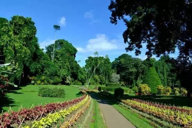 斯里兰卡被誉为上帝的眼泪,华正商旅美景推荐