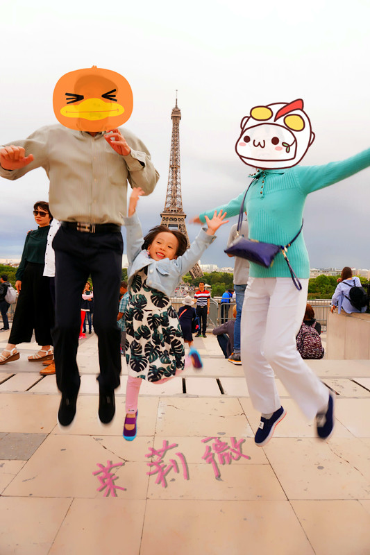 买香奈儿还是圣罗兰,买香奈儿希尔顿还是买dior戴妃