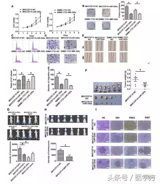 国自然标书参考文献格式,国自然标书引用参考文献的格式