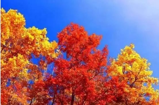 秦皇岛秋景最好的地方 (秦皇岛周边十月赏秋色的地方)