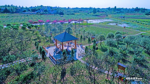 漫香庄园图片,龙泉驿区漫香庄园规划