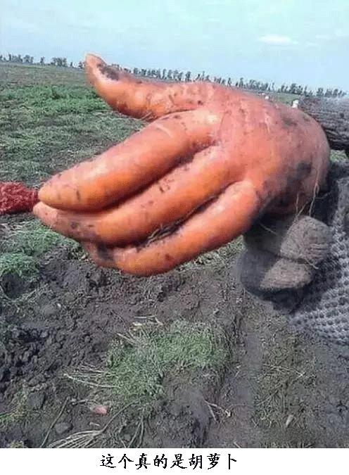 女朋友说给我尝一口怎么幽默回复,女朋友说给我吃东西怎么回