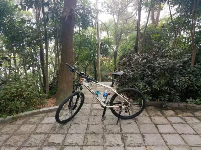 你为什么非要喜欢摩托车,年轻人为何爱上骑行