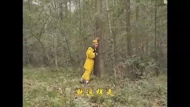 唐僧能够带孙悟空西天取经的原因,唐僧为什么要赶孙悟空走