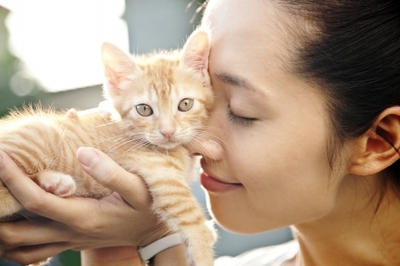 可爱猫咪动画片有哪些,十大可爱的猫咪动画片