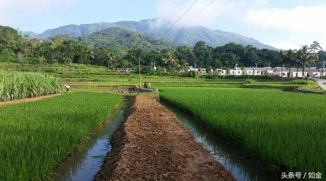 四川养泥鳅大王,中国泥鳅大王