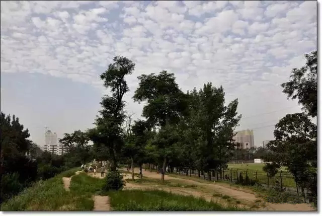 去郑州哪里旅游最便宜又好玩,郑州值得旅游的地方有哪些