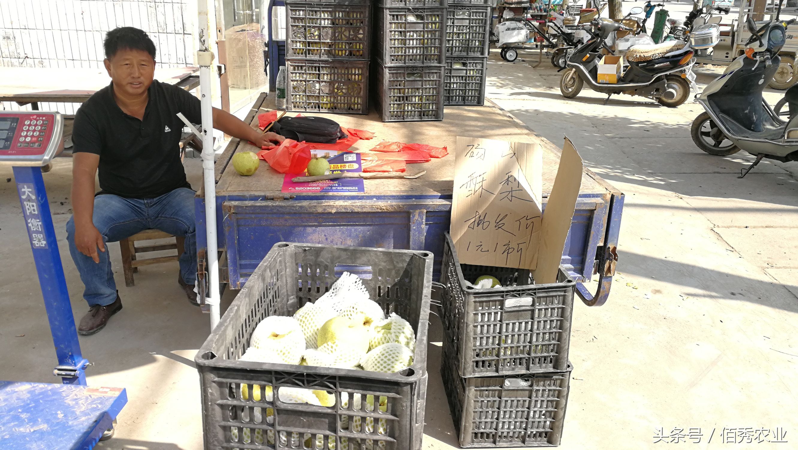 农村的聪明人，低价卖水果，为何还能赚大钱？