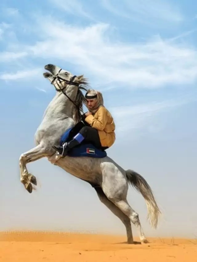 全球最帅的单身王子们,世界上最帅王子