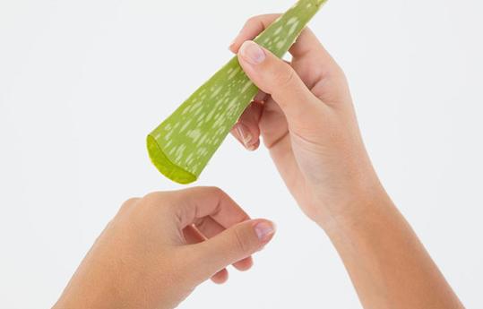 市面上芦荟胶没有效果?不如用生芦荟来敷脸,5个方法来自制面膜