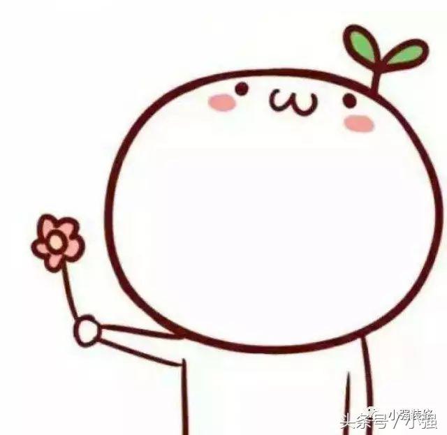 想知道工地盖的是什么,在哪里可以知道工地项目