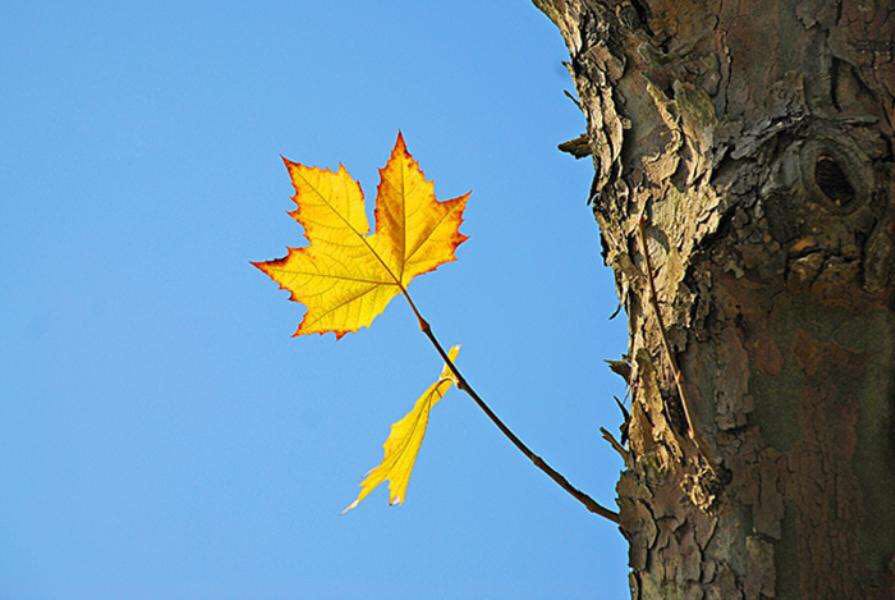 那年，我的“浅秋”，与秋天无关