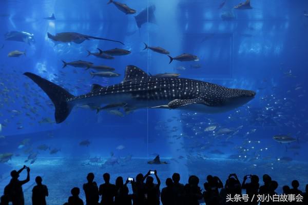 冲绳旅拍攻略,冲绳旅行攻略图