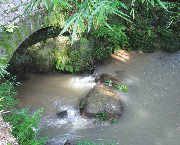 从化莲麻小镇有什么好玩的地方 (从化莲麻小镇景点)