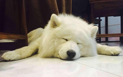 注意预防远离流感,秋冬季如何预防流感和新冠