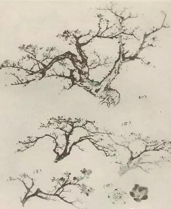 怎么画树最简单而且还最好看,怎么样才能画树画的最好看